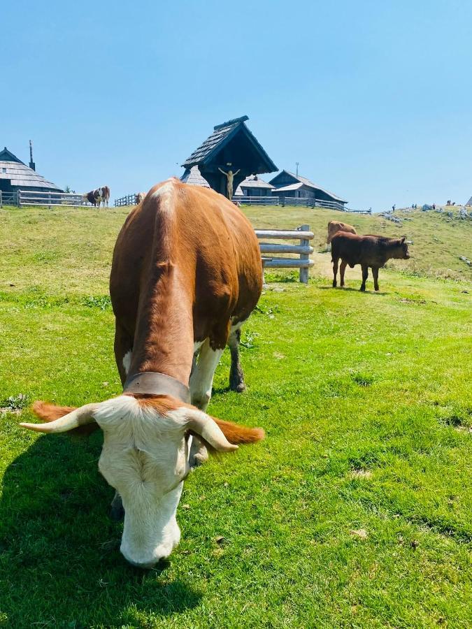 Velika Planina Koca Kekec Villa Stahovica Ngoại thất bức ảnh
