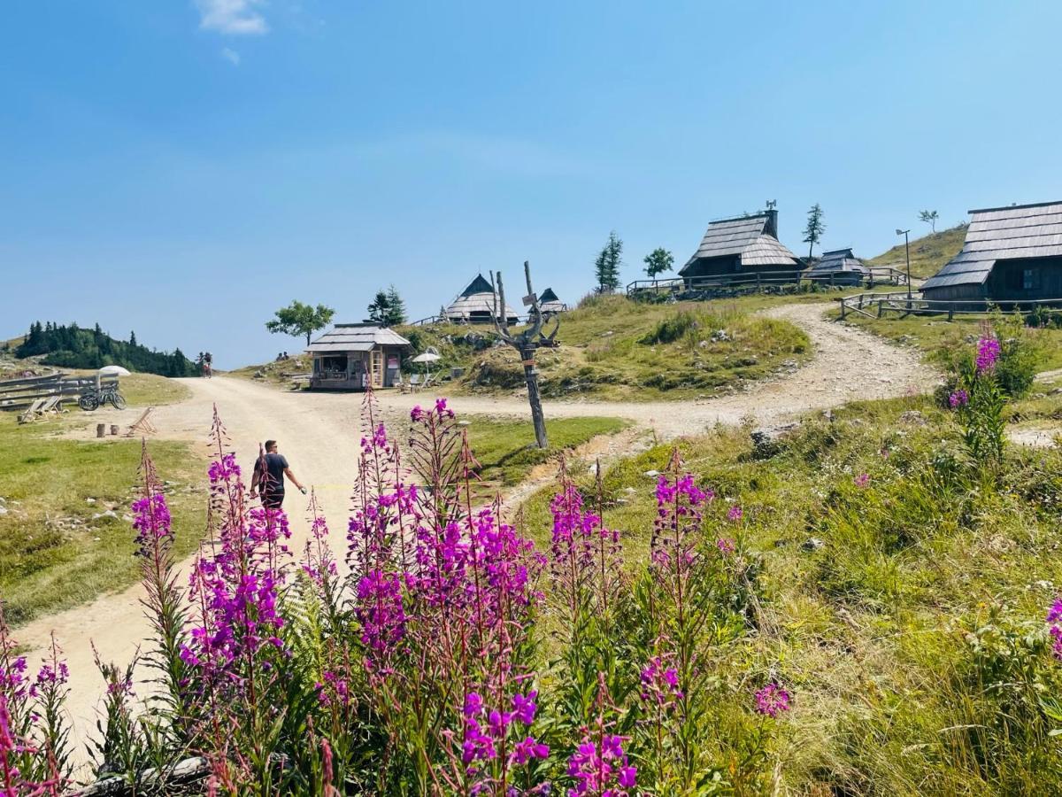 Velika Planina Koca Kekec Villa Stahovica Ngoại thất bức ảnh