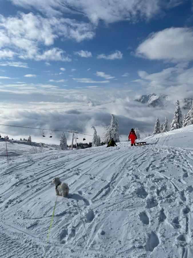 Velika Planina Koca Kekec Villa Stahovica Ngoại thất bức ảnh